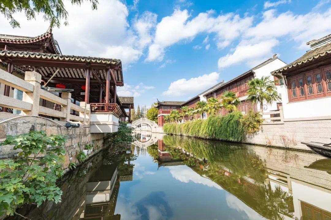 芭比的大学之旅